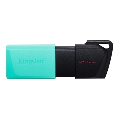 KINGSTON 256GB USB3.2 DATATRAVELER EXODIA M DTXM/256GB