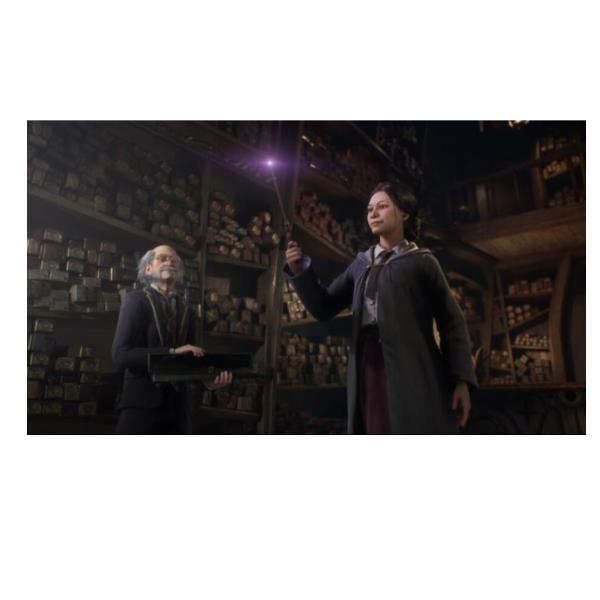 WARNER BROS HOGWARTS LEGACY SERIE X 1000818853