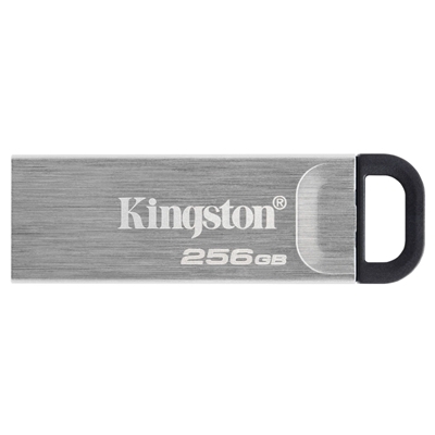 KINGSTON DATATRAVEL KYSON 256GB DTKN/256GB