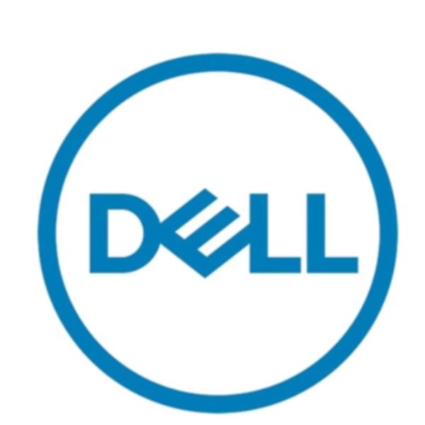 DELL 960GB SSD SATA READ INTENSIVE 345-BDQM