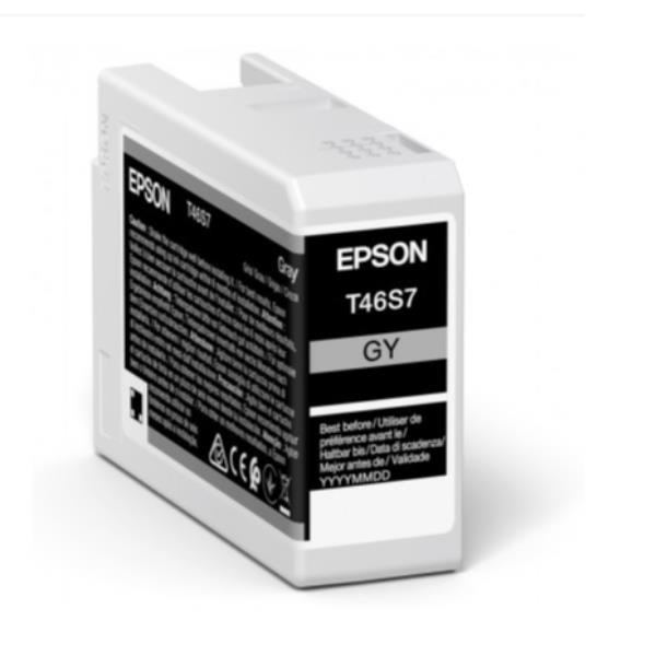 EPSON SINGLEPACK GRAY T46S7 ULTRACHROME C13T46S700