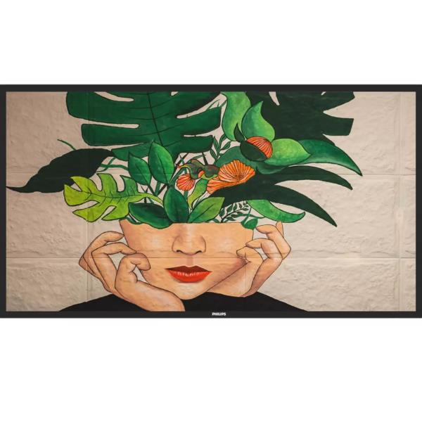 Philips 50  D-LINE,  UHD,  24/7 50BDL4511D/00