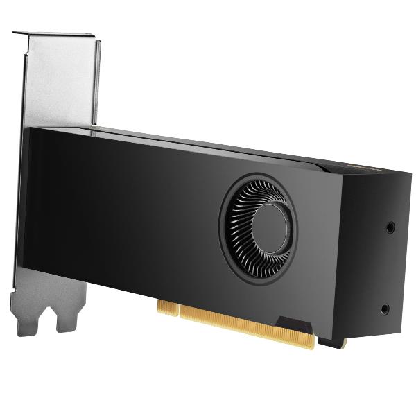 HP NVIDIA RTX PH x2xxx 4mDP Graphics