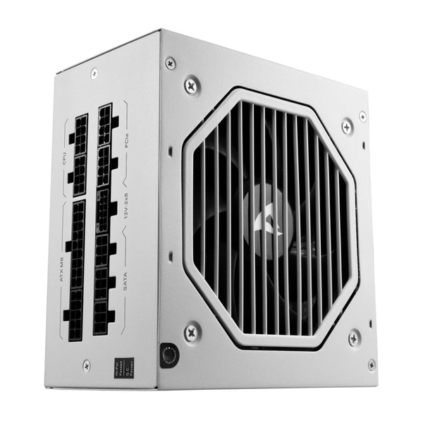 Sharkoon ATX 3.1 FULLY-MODULAR CYBENETICS PLATINUM 1000W REBEL P20 1000W WHITE