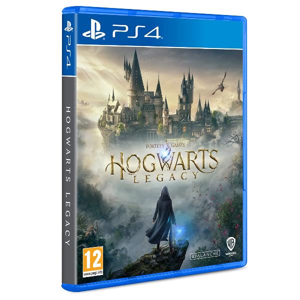 WARNER BROS HOGWARTS LEGACY PS4 1000818850