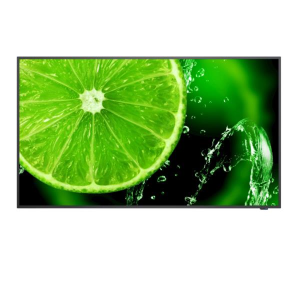 SHARP/NEC MULTISYNC E498Q 60005052
