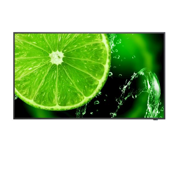 SHARP/NEC MULTISYNC E658 60005059