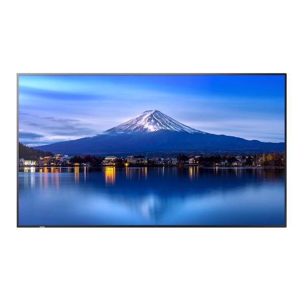 SHARP/NEC MULTISYNC P556 60005916