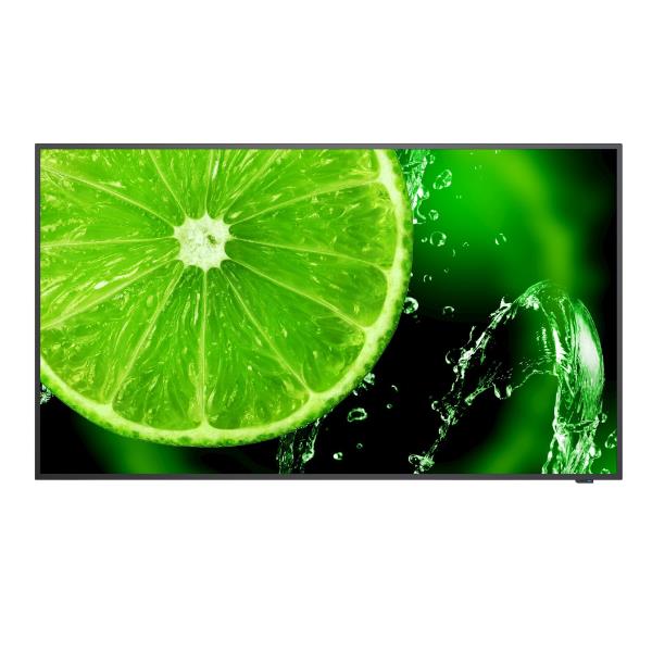 SHARP DISPLAY SOLUTIONS MULTISYNC E328-2 60006113