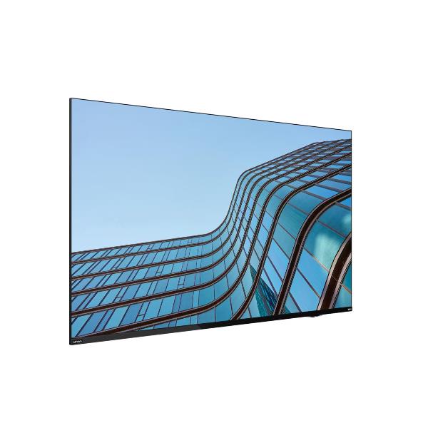 LENOVO THINKVISION E55 64A9GAT1EK