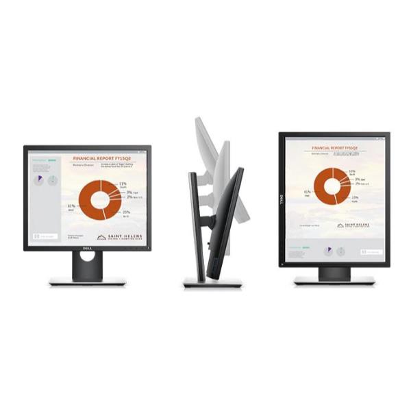 DELL 19 MONITOR - P1917S -P1917SE